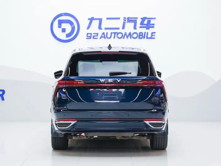 Wey Blue Mountain 2023 Model 4WD Ultra-long Endurance – фото 3