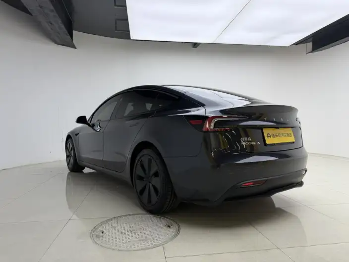 Model 3 2025 Model Rear-wheel drive version – фото 5