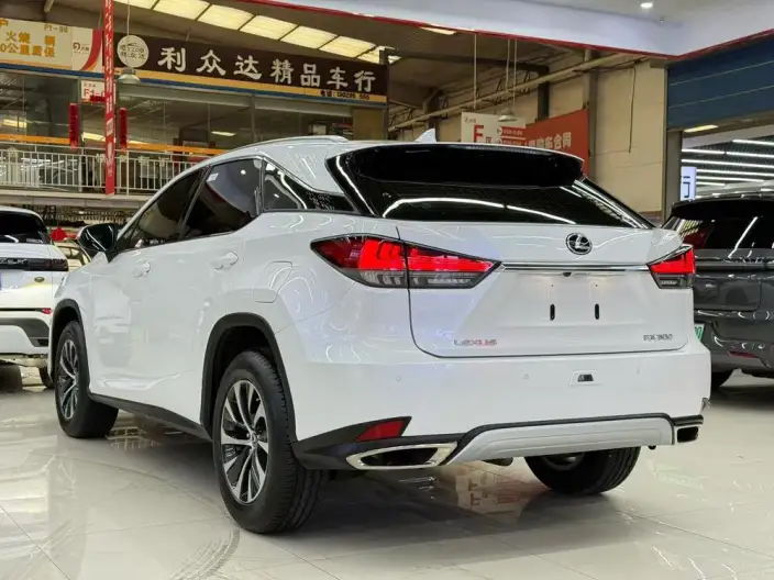Lexus RX 2020 Model 300 2WD Elite Edition China V – фото 4