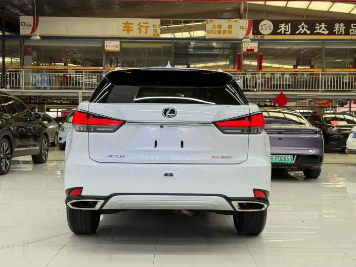Lexus RX 2020 Model 300 2WD Elite Edition China V – фото 5