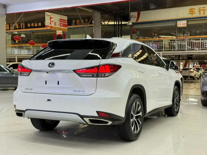 Lexus RX 2020 Model 300 2WD Elite Edition China V – фото 6