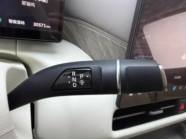 Wey Gaoshan P HEV 2025 Model 4WD Wey Gaoshan 9 – фото 7