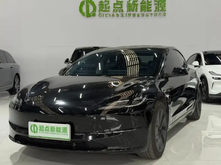 Model 3 2025 Model Rear-wheel drive version – фото 1