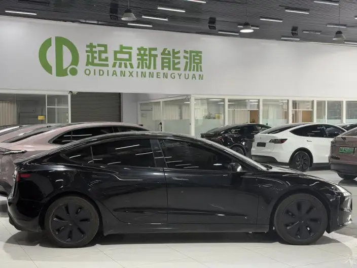 Model 3 2025 Model Rear-wheel drive version – фото 3