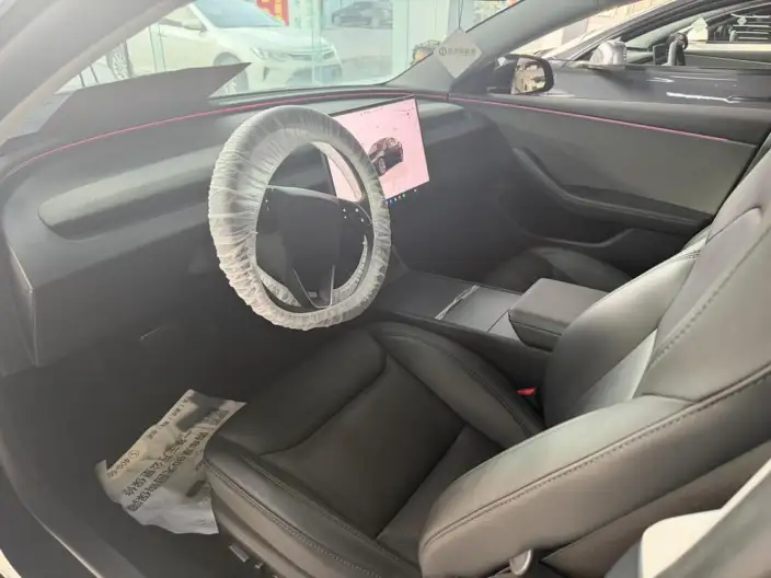 Model 3 2025 Model Rear-wheel drive version – фото 6