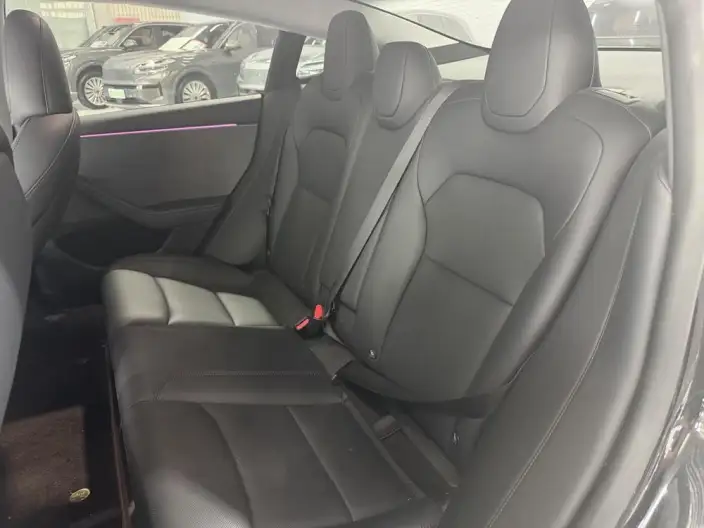 Model 3 2025 Model Rear-wheel drive version – фото 9