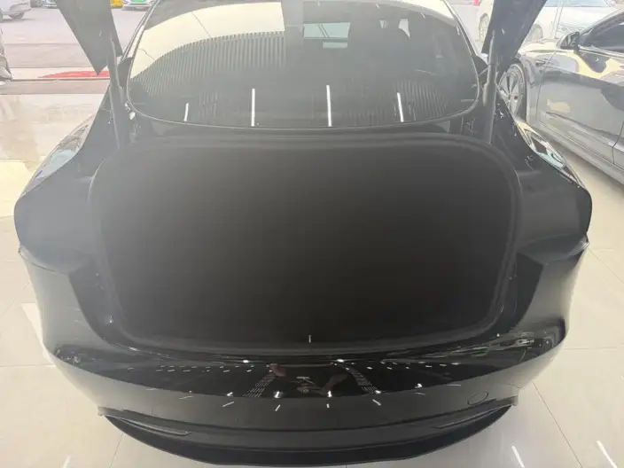 Model 3 2025 Model Rear-wheel drive version – фото 10