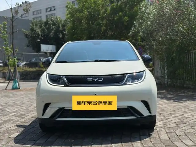 BYD Dolphin 2023 Model Fashion Edition – фото 2