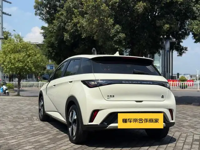 BYD Dolphin 2023 Model Fashion Edition – фото 4