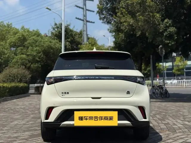 BYD Dolphin 2023 Model Fashion Edition – фото 5