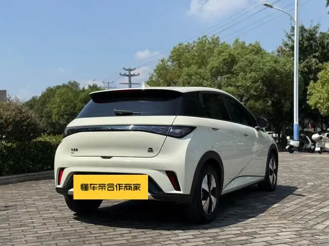 BYD Dolphin 2023 Model Fashion Edition – фото 6