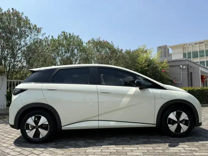 BYD Dolphin 2023 Model Fashion Edition – фото 7