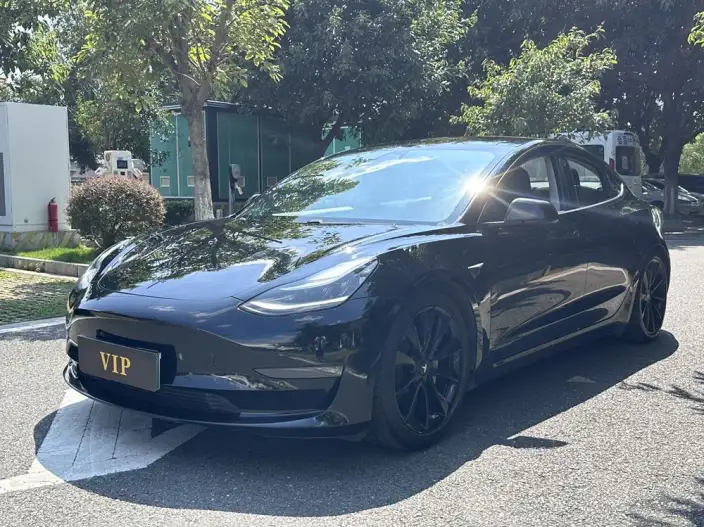 Model 3 2020 Model Facelift Long Battery Life Pro Rear-wheel drive version – фото 1