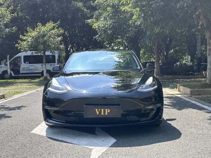 Model 3 2020 Model Facelift Long Battery Life Pro Rear-wheel drive version – фото 2