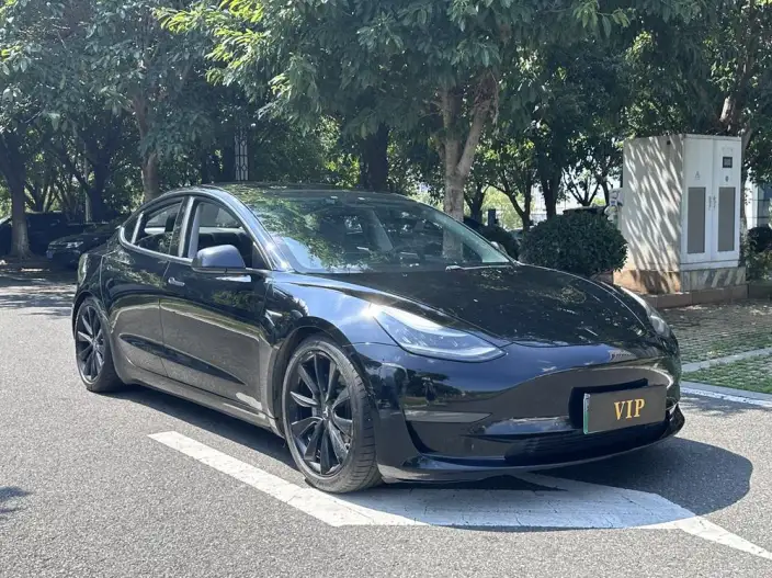 Model 3 2020 Model Facelift Long Battery Life Pro Rear-wheel drive version – фото 3
