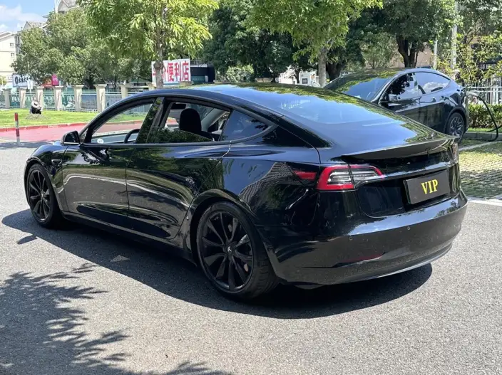Model 3 2020 Model Facelift Long Battery Life Pro Rear-wheel drive version – фото 4