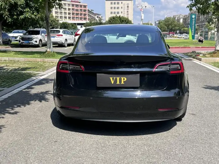 Model 3 2020 Model Facelift Long Battery Life Pro Rear-wheel drive version – фото 5