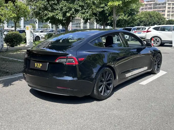 Model 3 2020 Model Facelift Long Battery Life Pro Rear-wheel drive version – фото 6
