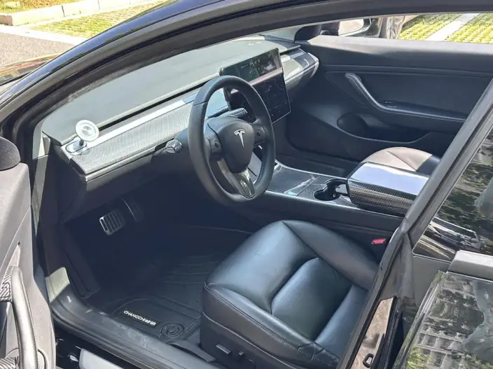 Model 3 2020 Model Facelift Long Battery Life Pro Rear-wheel drive version – фото 7
