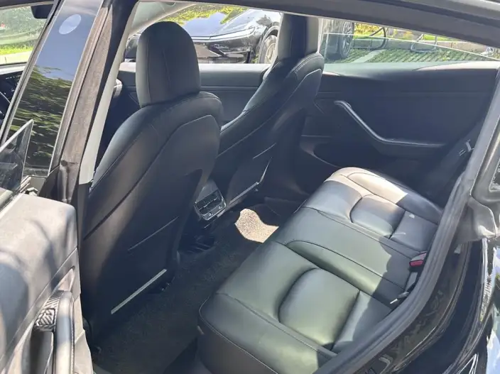 Model 3 2020 Model Facelift Long Battery Life Pro Rear-wheel drive version – фото 8