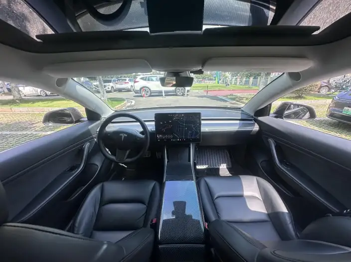 Model 3 2020 Model Facelift Long Battery Life Pro Rear-wheel drive version – фото 9