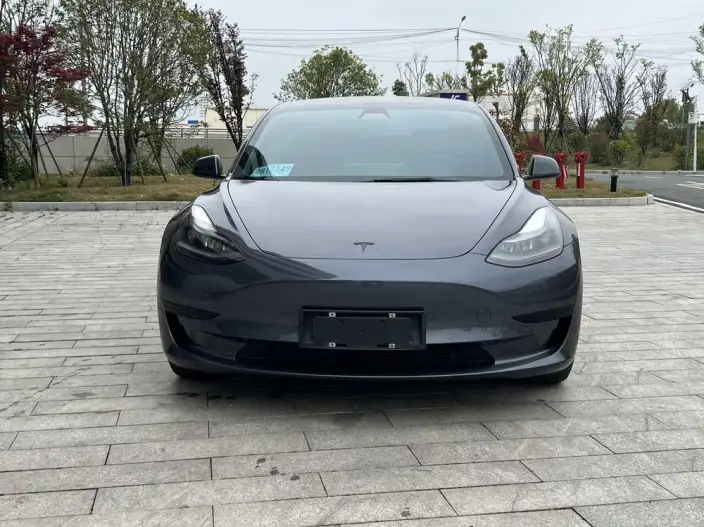 Model 3 2021 Model Standard Battery Life Rear Drive L Class Edition – фото 2