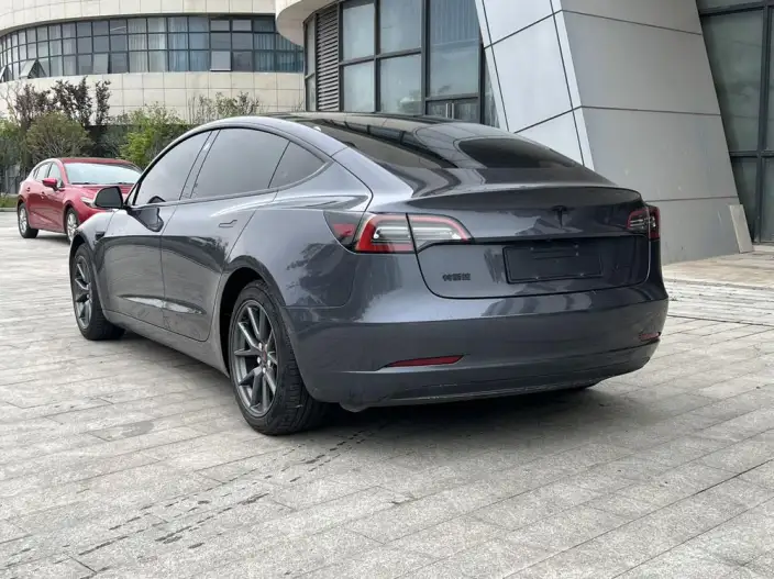 Model 3 2021 Model Standard Battery Life Rear Drive L Class Edition – фото 4