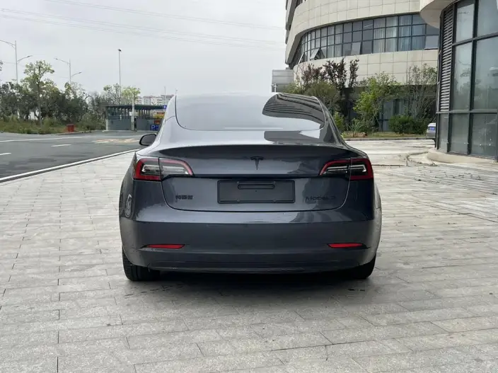 Model 3 2021 Model Standard Battery Life Rear Drive L Class Edition – фото 5