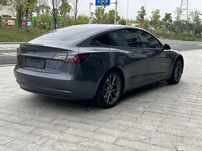 Model 3 2021 Model Standard Battery Life Rear Drive L Class Edition – фото 6