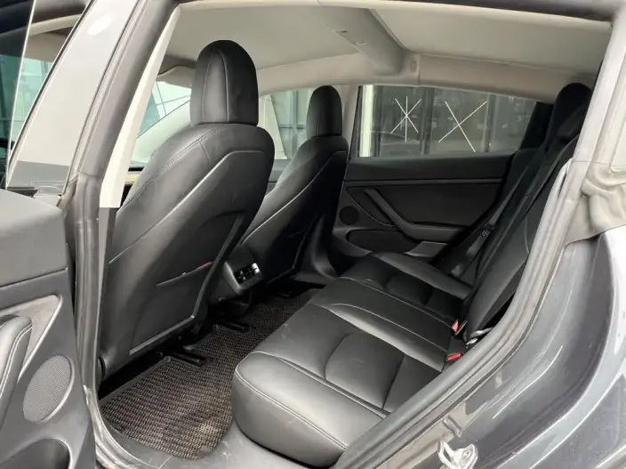 Model 3 2021 Model Standard Battery Life Rear Drive L Class Edition – фото 9