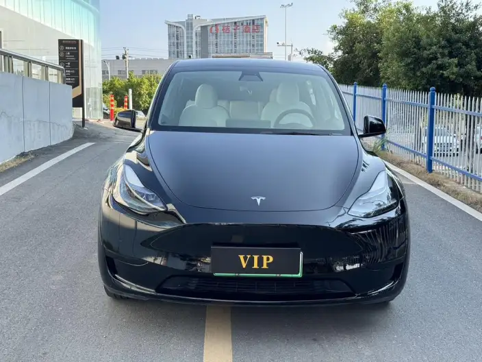 Model Y 2022 Model Rear-wheel drive version – фото 2