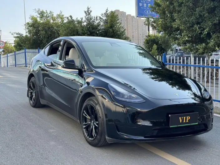 Model Y 2022 Model Rear-wheel drive version – фото 3