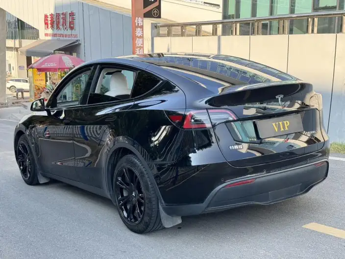 Model Y 2022 Model Rear-wheel drive version – фото 4