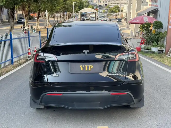 Model Y 2022 Model Rear-wheel drive version – фото 5