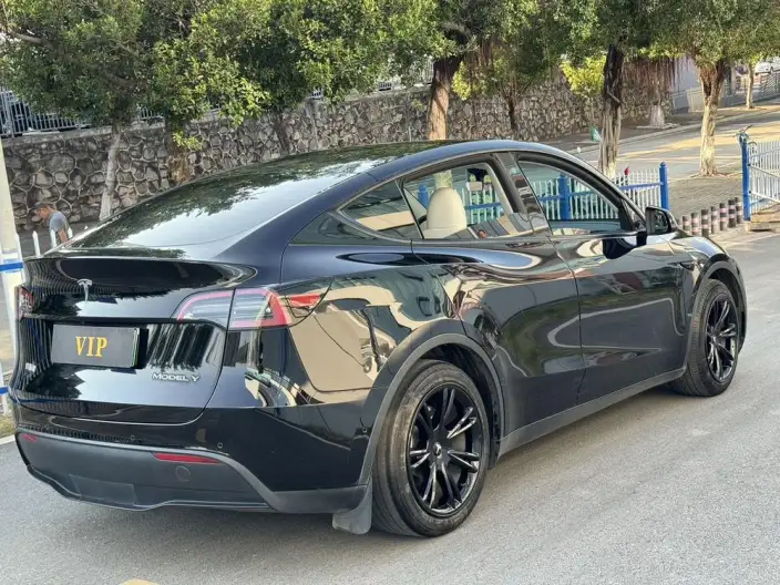 Model Y 2022 Model Rear-wheel drive version – фото 6