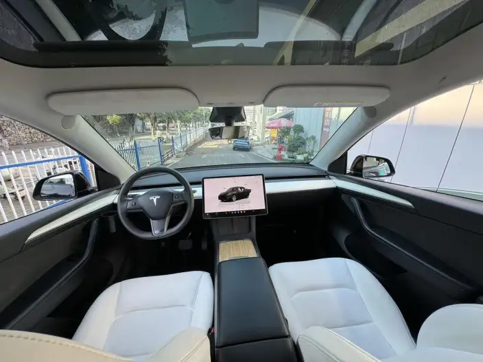 Model Y 2022 Model Rear-wheel drive version – фото 7