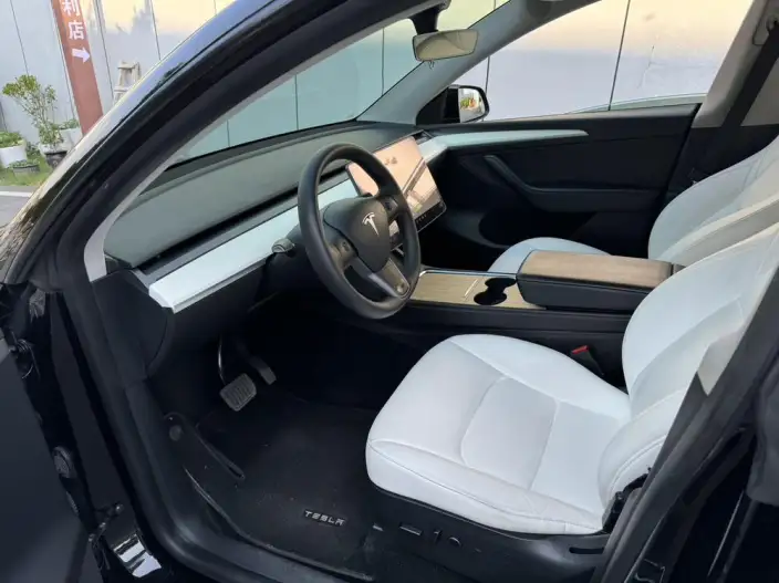 Model Y 2022 Model Rear-wheel drive version – фото 8