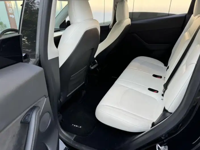 Model Y 2022 Model Rear-wheel drive version – фото 9