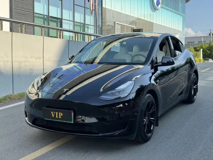 Model Y 2022 Model Rear-wheel drive version – фото 10