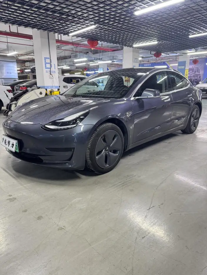 Model 3 2020 Model Standard Battery Life Rear Drive L Class Edition – фото 1