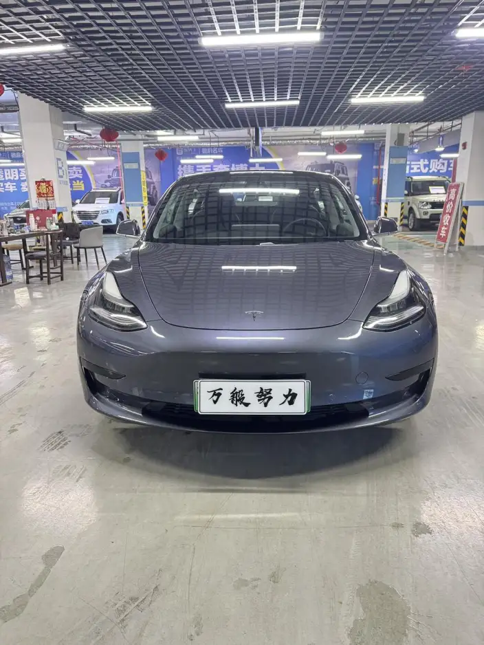 Model 3 2020 Model Standard Battery Life Rear Drive L Class Edition – фото 2