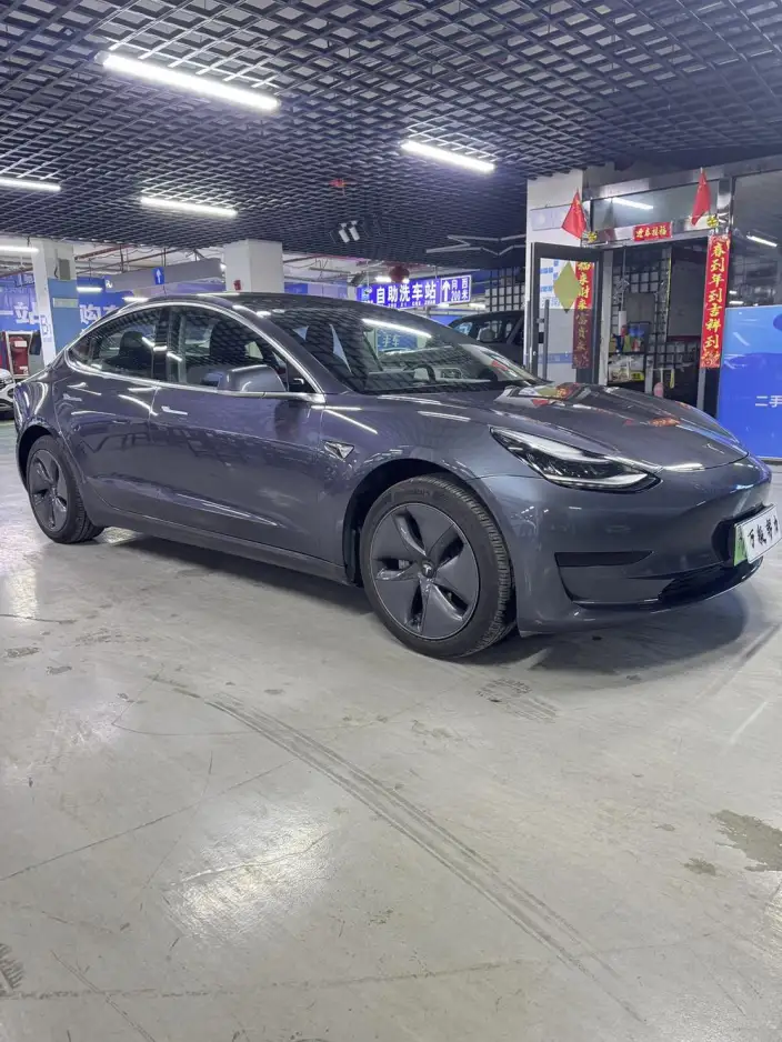 Model 3 2020 Model Standard Battery Life Rear Drive L Class Edition – фото 3