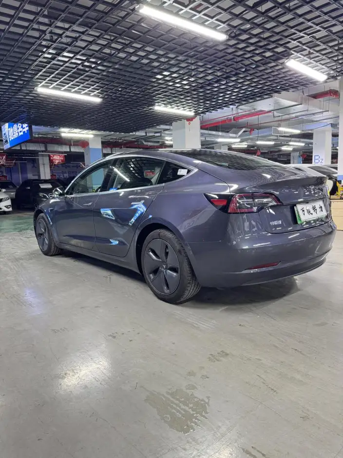 Model 3 2020 Model Standard Battery Life Rear Drive L Class Edition – фото 4