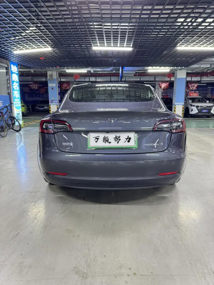 Model 3 2020 Model Standard Battery Life Rear Drive L Class Edition – фото 5
