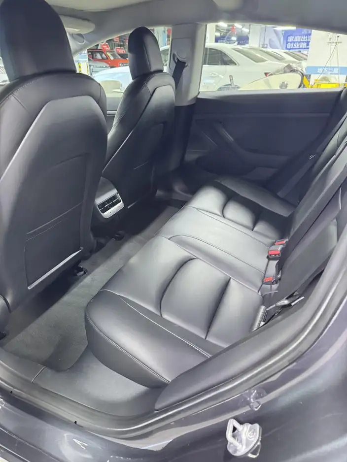 Model 3 2020 Model Standard Battery Life Rear Drive L Class Edition – фото 9
