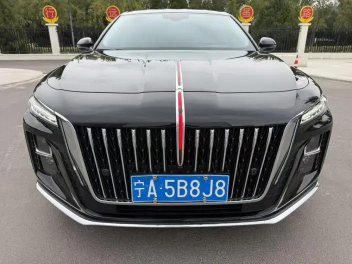 Hongqi H5 2023 Model 1.5T DCT Flag Rhythm Edition – фото 7