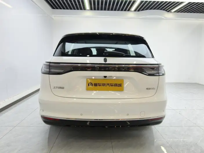Sangyuan H5 2025 Model Extended Range Max – фото 6
