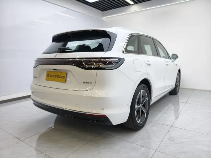 Sangyuan H5 2025 Model Extended Range Max – фото 7