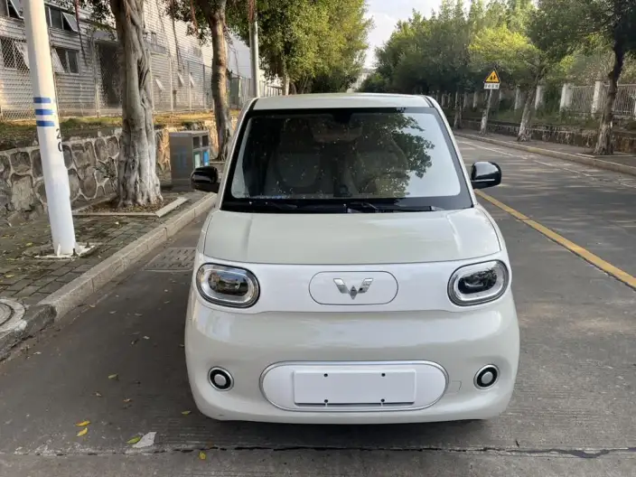 Wuling Hongguang MINIEV 2024 Model 215km Youth Edition Lithium Iron Phosphate