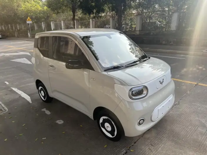 Wuling Hongguang MINIEV 2024 Model 215km Youth Edition Lithium Iron Phosphate